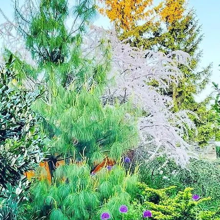 Case de vacanță Familiaeres & Naturnahes Wohnen - Csodakert *